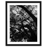Tree Black Silhouette thumbnail