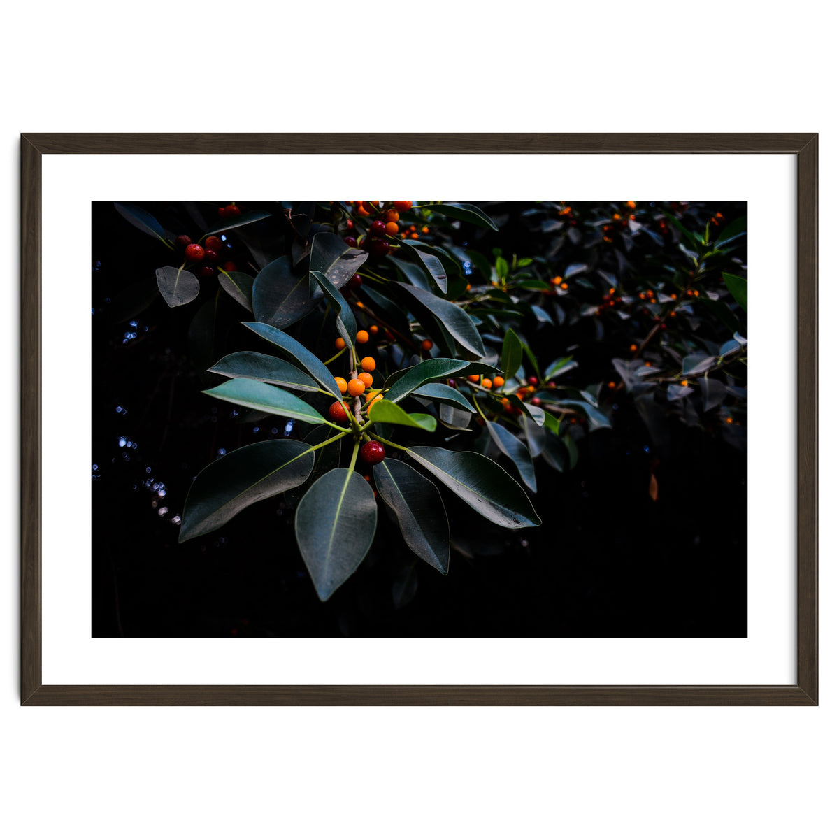 Orange, Green and Dark