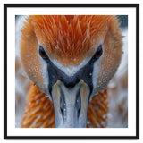 Close Up Of A Pelican's Beak With Water Droplets thumbnail