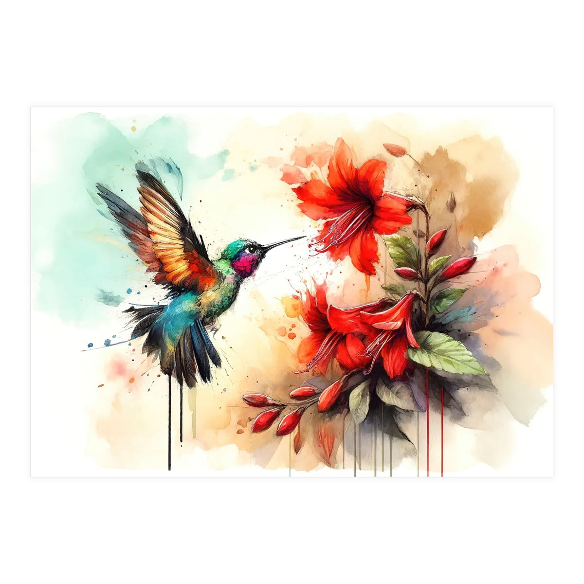 Dance Of Hummingbird And Crimson Flowers (Print Only)