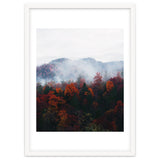 Fog thumbnail
