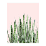 Botanical Balance (Print Only) thumbnail