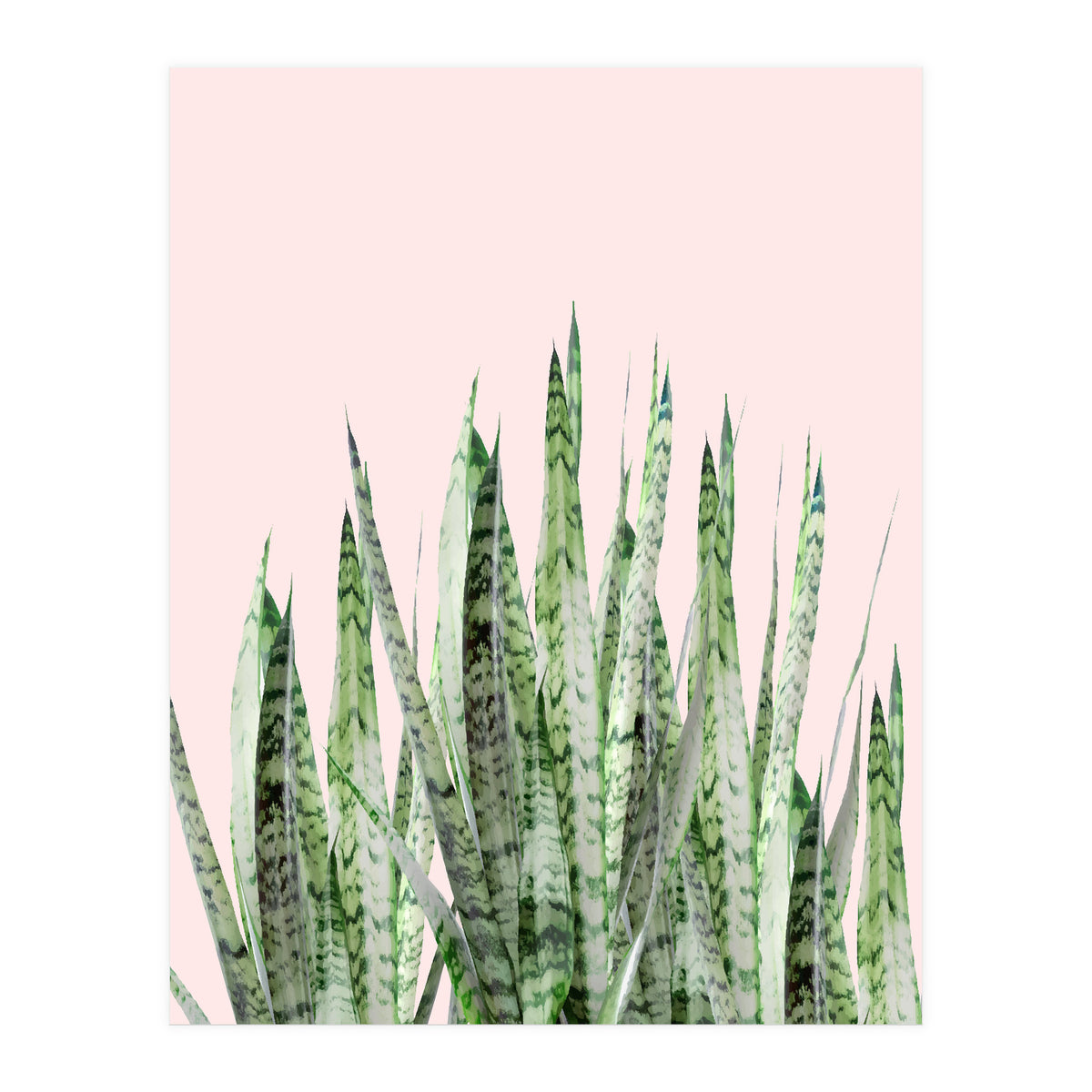 Botanical Balance (Print Only)