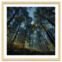 Celestial Forest Canopy with Swirling Golden Fireflies and Deep Twilight Blue Sky Digital Art