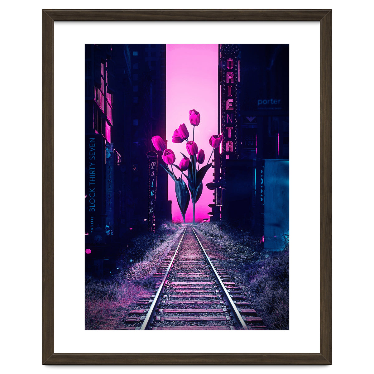 red tulips in the middle of the city