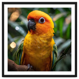 Sun Conure Parrot Colorful Bird Perched On Branch thumbnail