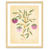 Vintage Fruits thumbnail