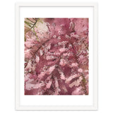 Pink Blossom thumbnail