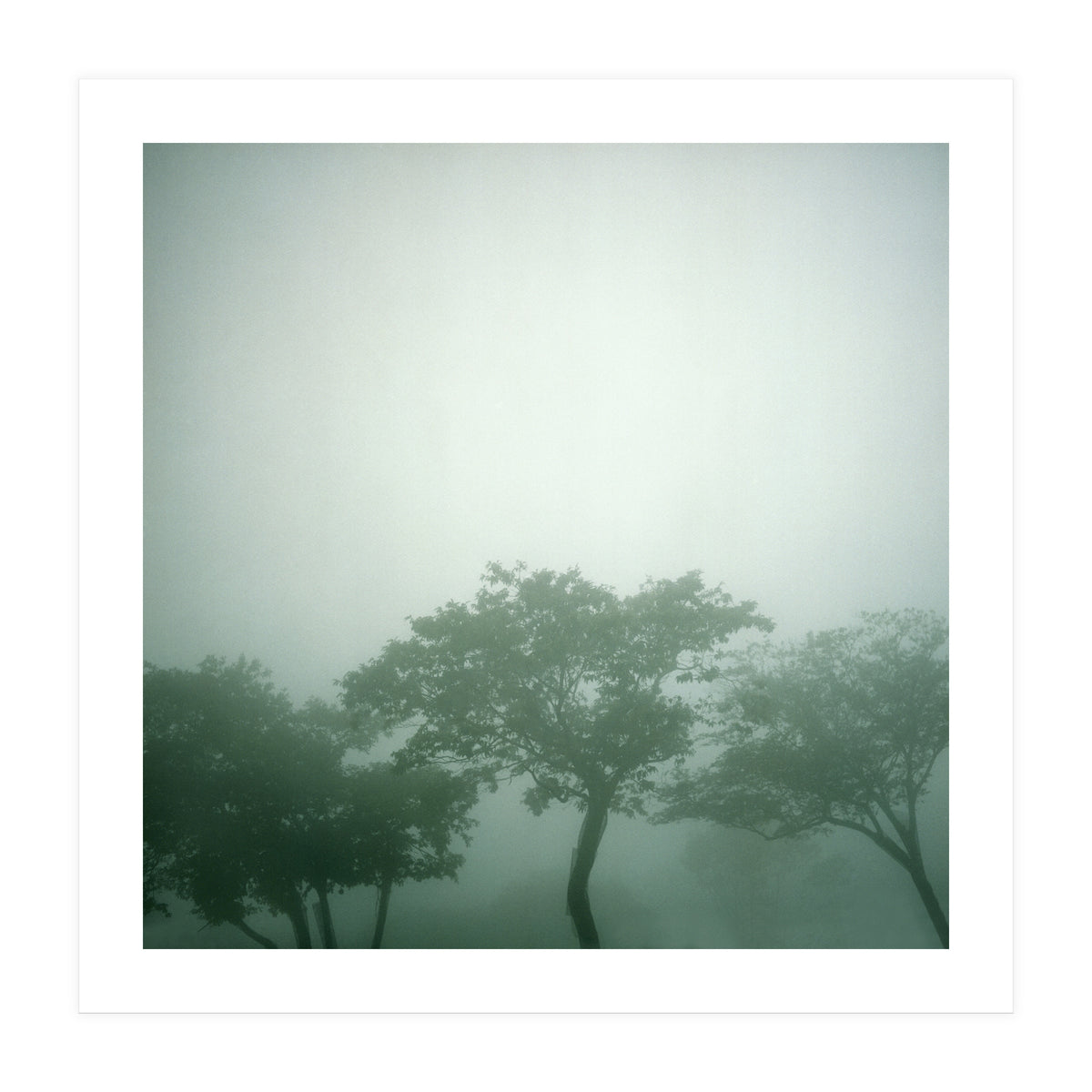 Silence of breath - 17 (Print Only)