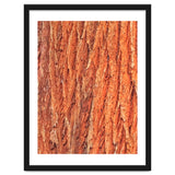 Tree Bark thumbnail