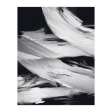 Flybynight  (Print Only) thumbnail