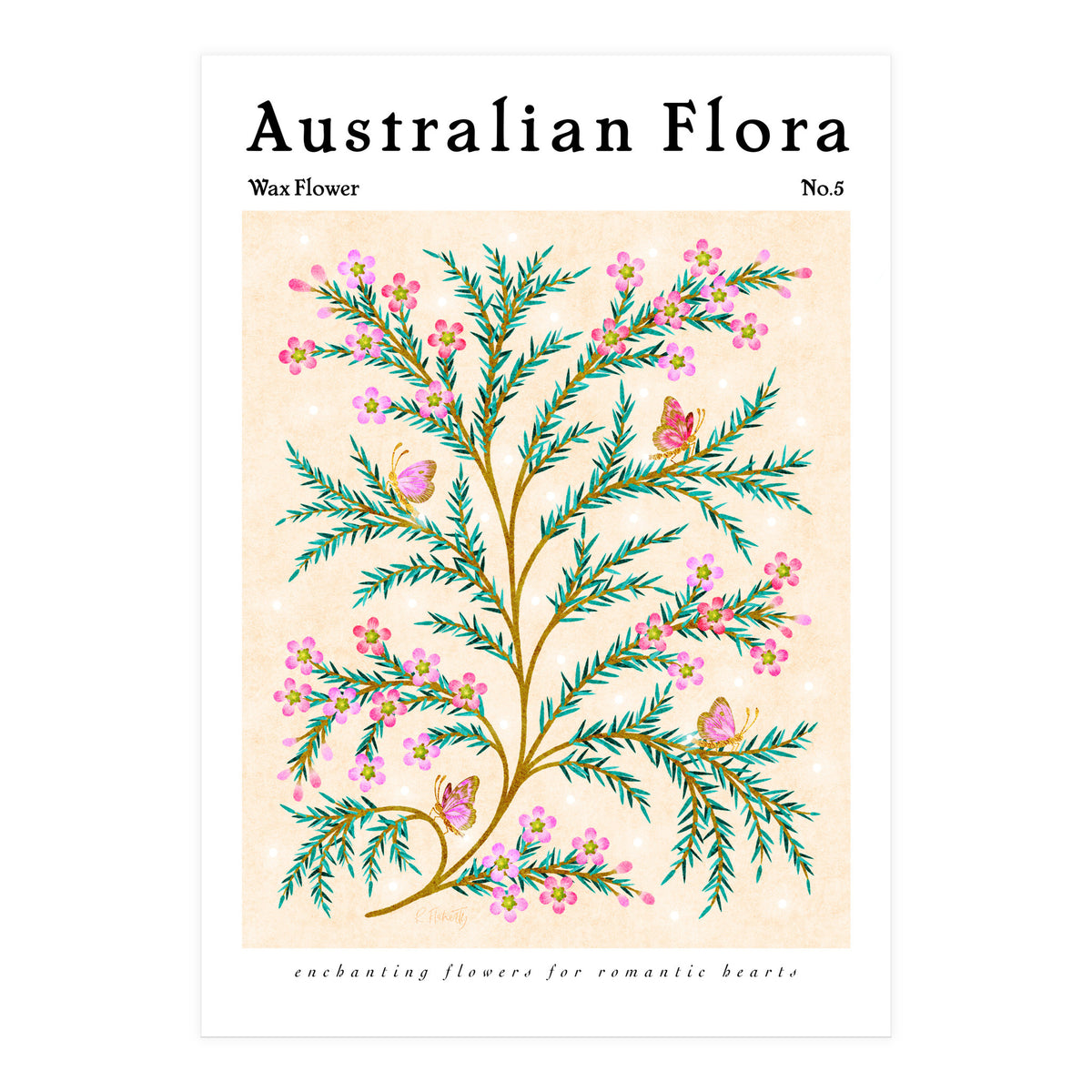 Australian Flora: Wax Flower (Print Only)