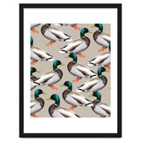 Mallards thumbnail