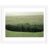 Small forest - Iceland thumbnail