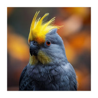 Close-up Portrait of a Yellow Cockatoo in the Wild. (Print Only)