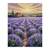 Visions of Provence (Print Only) thumbnail