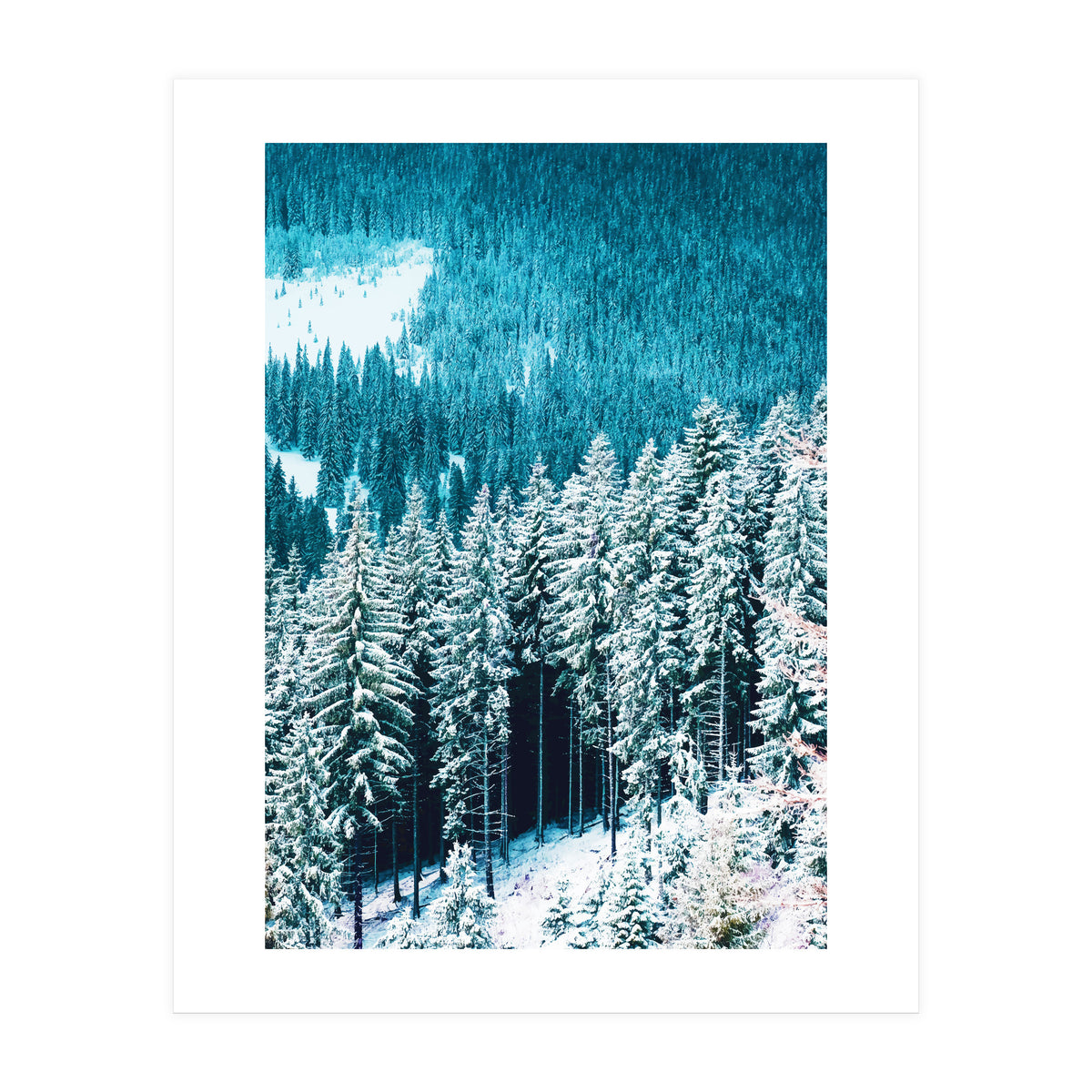 Rainforest #society6 #decor #buyart (Print Only)