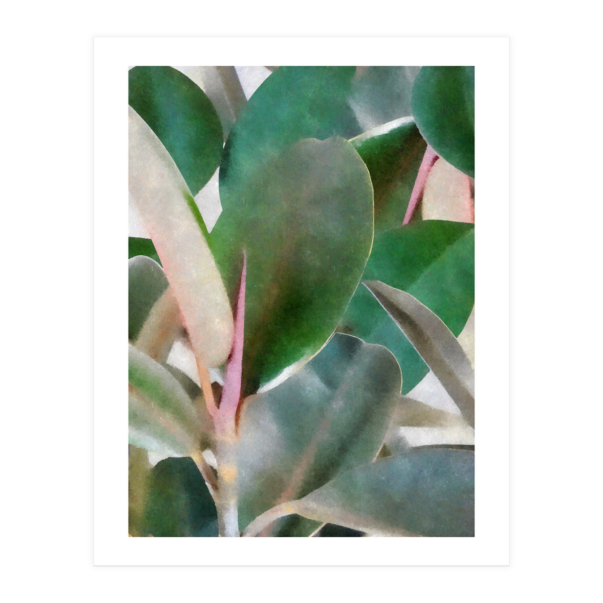 Preconceived Purity (Print Only)