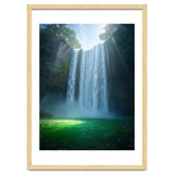 Lush Sun-Drenched Autumn Forest thumbnail