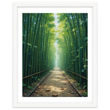 The Emerald Path: A Sun-Drenched Journey thumbnail