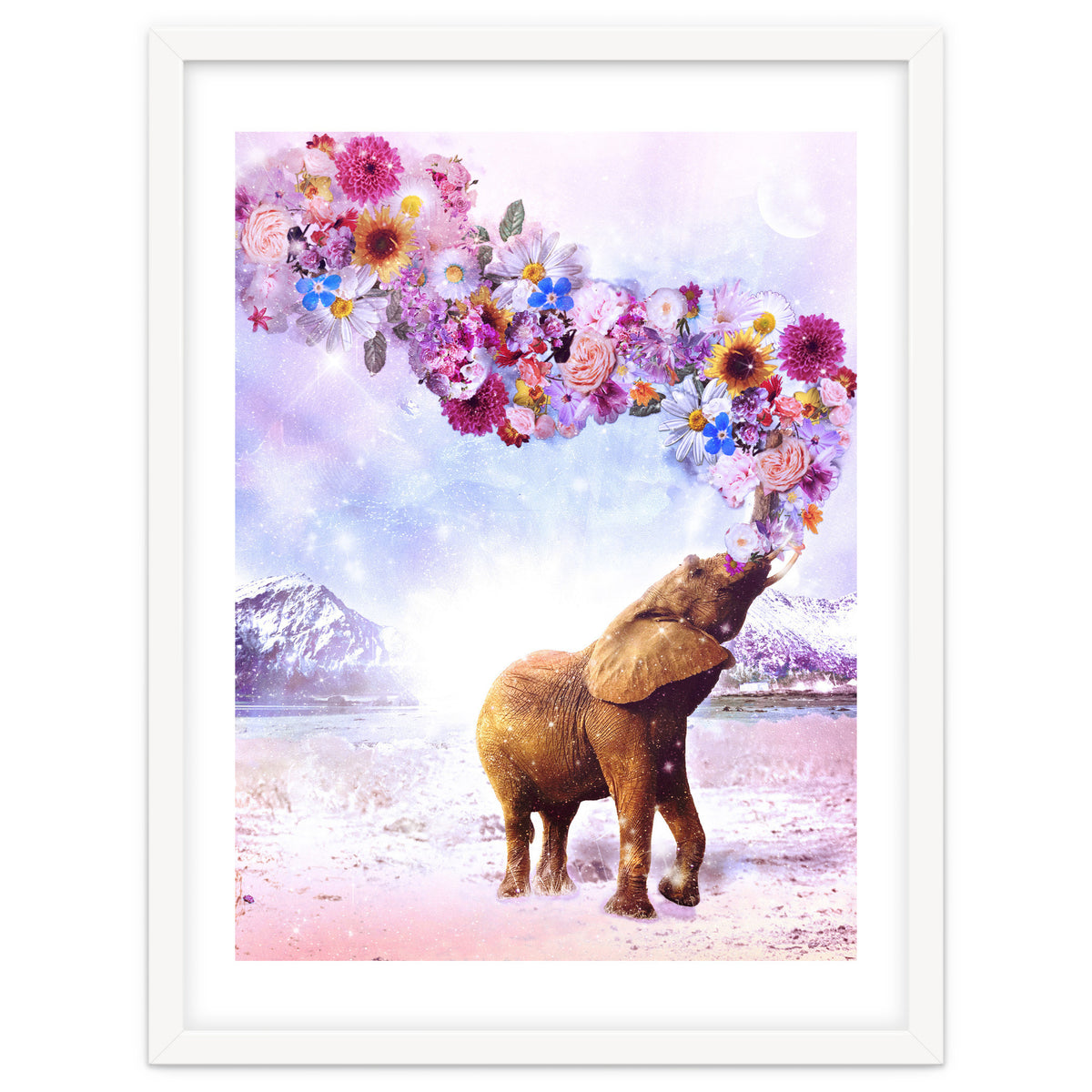 Daria - Supreme Majestic