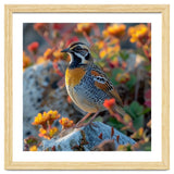 Bird Perched On A Rock With Flowers thumbnail