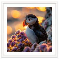 Puffin Bird Amidst Purple Flowers Golden Hour