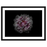 Backyard Flowers No 118 Color Version thumbnail