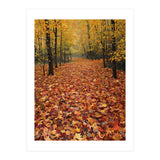 Ethereal Autumn Forest Path (Print Only) thumbnail