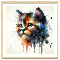Colorful Kitten Portrait