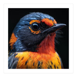 Vibrant Bird With Orange And Blue Plumage (Print Only) thumbnail