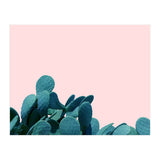 Kaktos (Print Only) thumbnail
