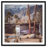 Palm Springs Pink II thumbnail