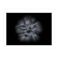 Backyard Flowers In Black And White No 66 Flow Version (Print Only)