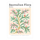 Australian Flora: Wax Flower (Print Only) thumbnail