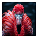 Close Up Flamingo Face With Water Droplets (Print Only) thumbnail