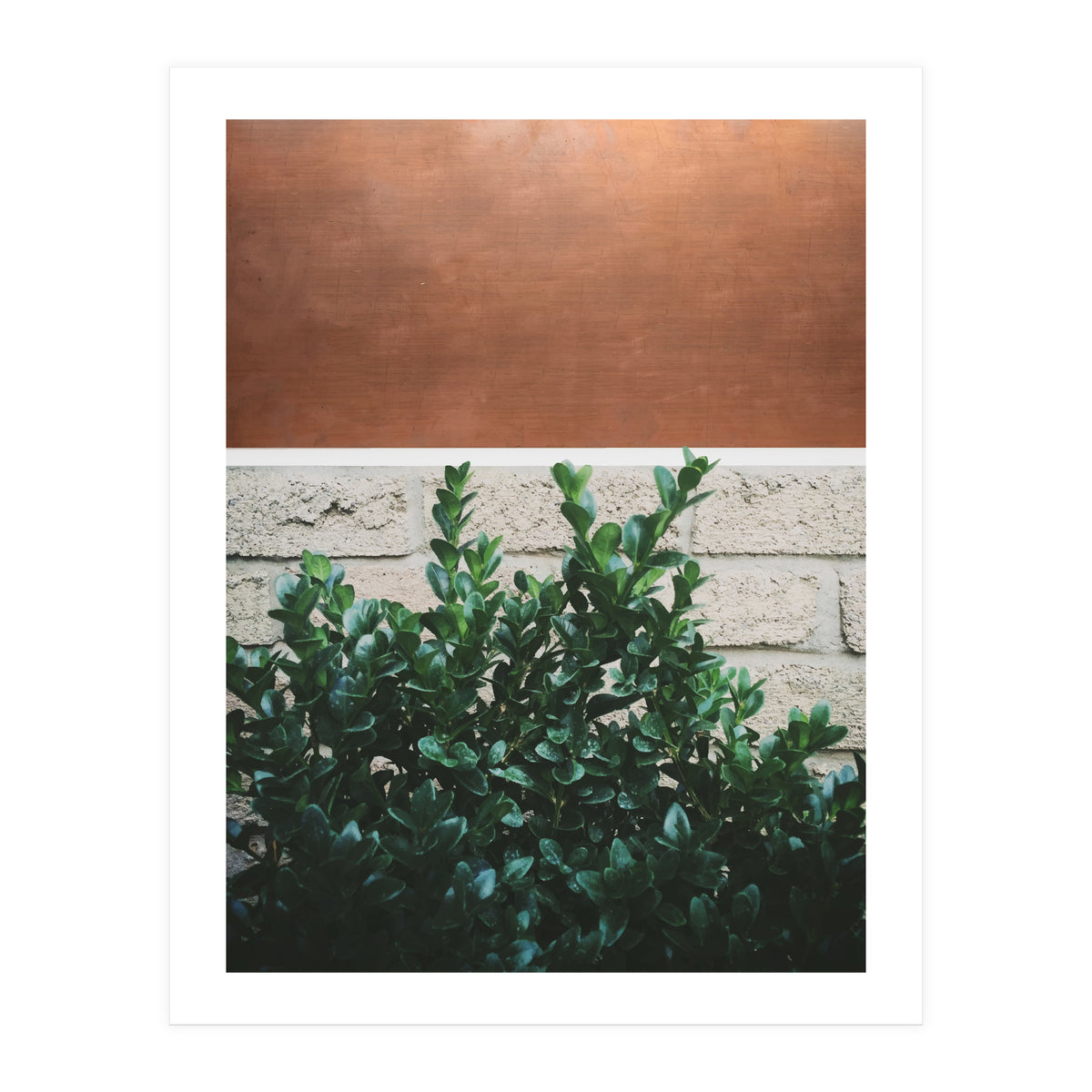 Plant + Copper (Print Only)