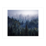 The Visionary Echo (Print Only) thumbnail