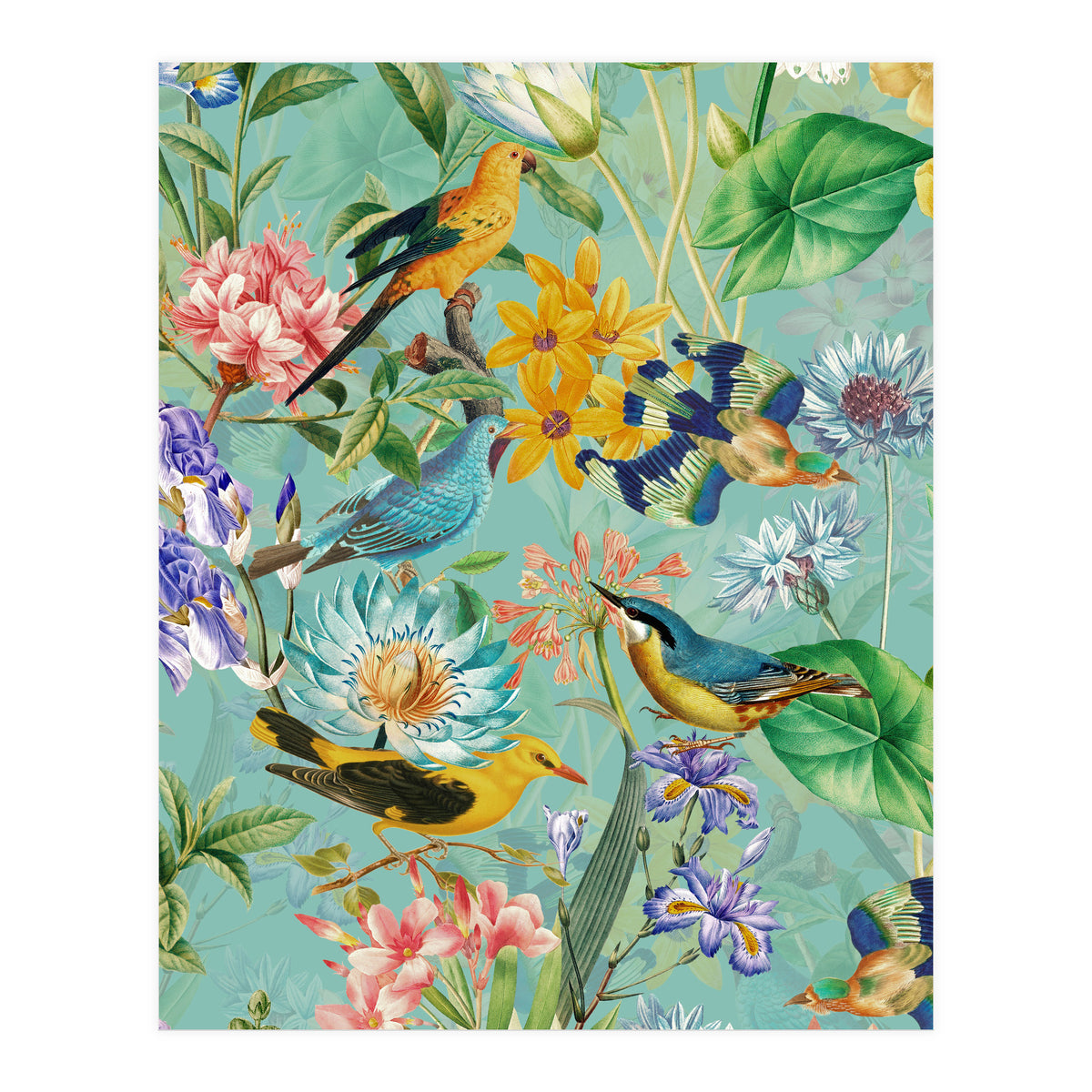 Birds In Tropical Jungle  (Print Only)