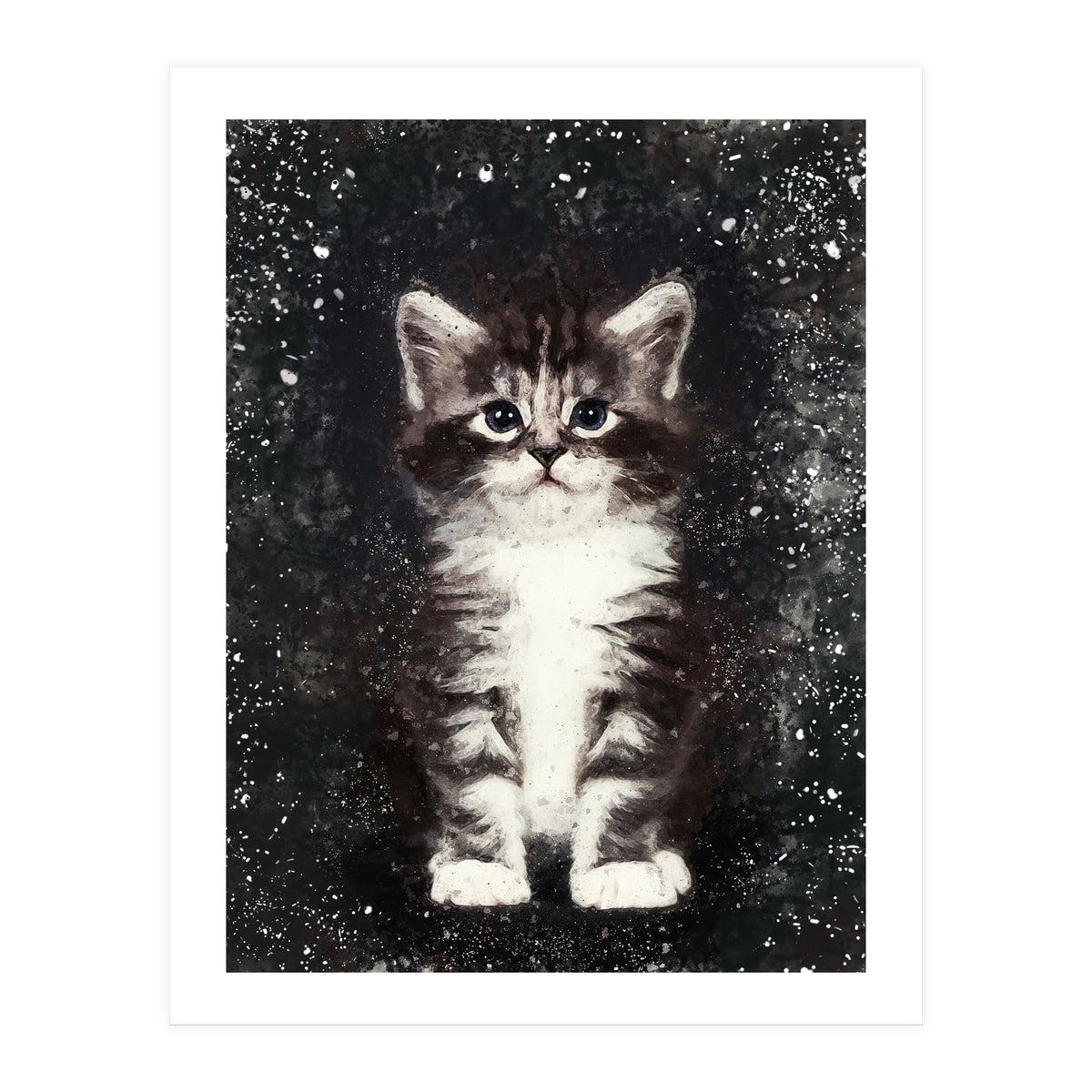 Bicolor Cute Kitten Portrait (Print Only)