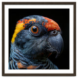 Close Up Of A Colorful Parrot Bird's Head thumbnail