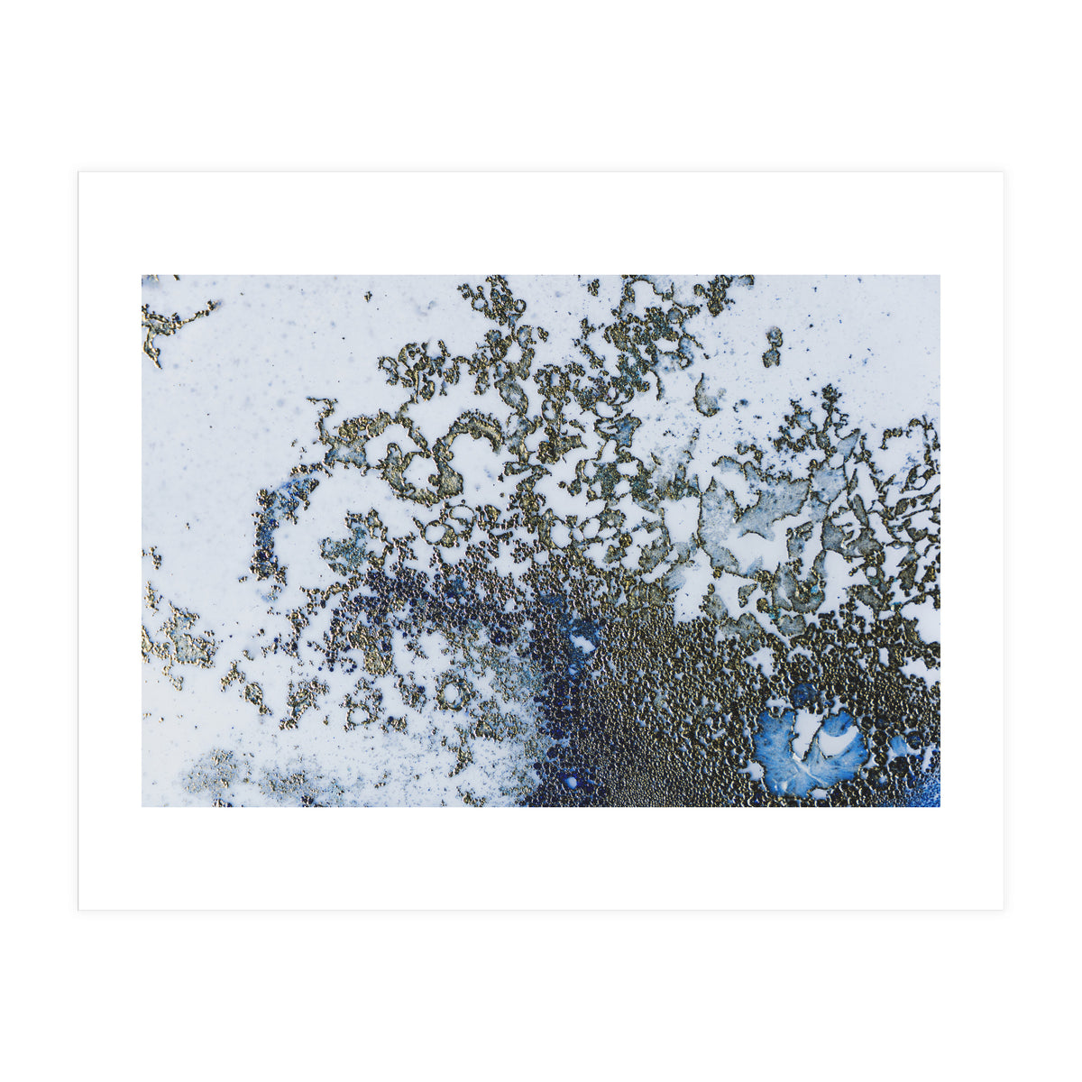 Coral Rising (Print Only)