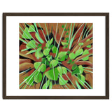 Meadow at spring thumbnail