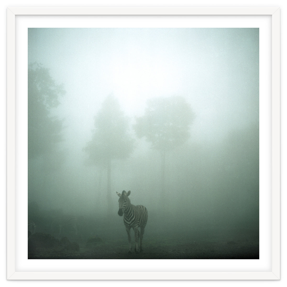 Silence of breath - 01