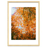 Autumn Leaves thumbnail