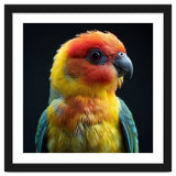 Vibrant Sun Conure Parrot Close Up Portrait thumbnail