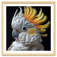 White Cockatoo With Yellow Crest Portrait