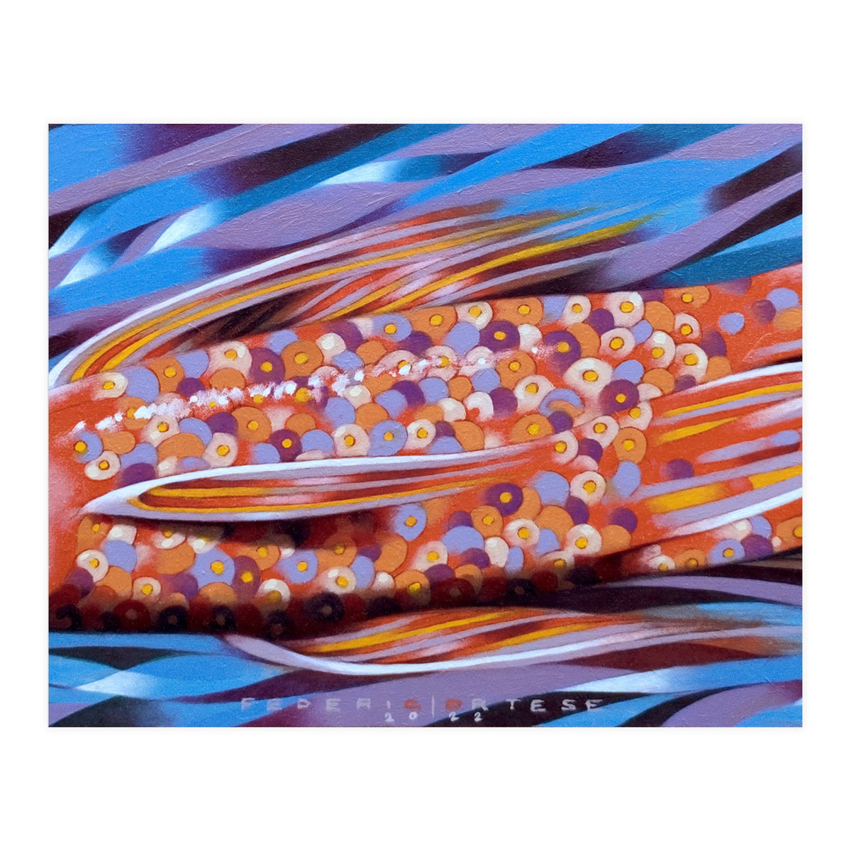 Little fish (Print Only)