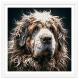 Old Dog 01 thumbnail