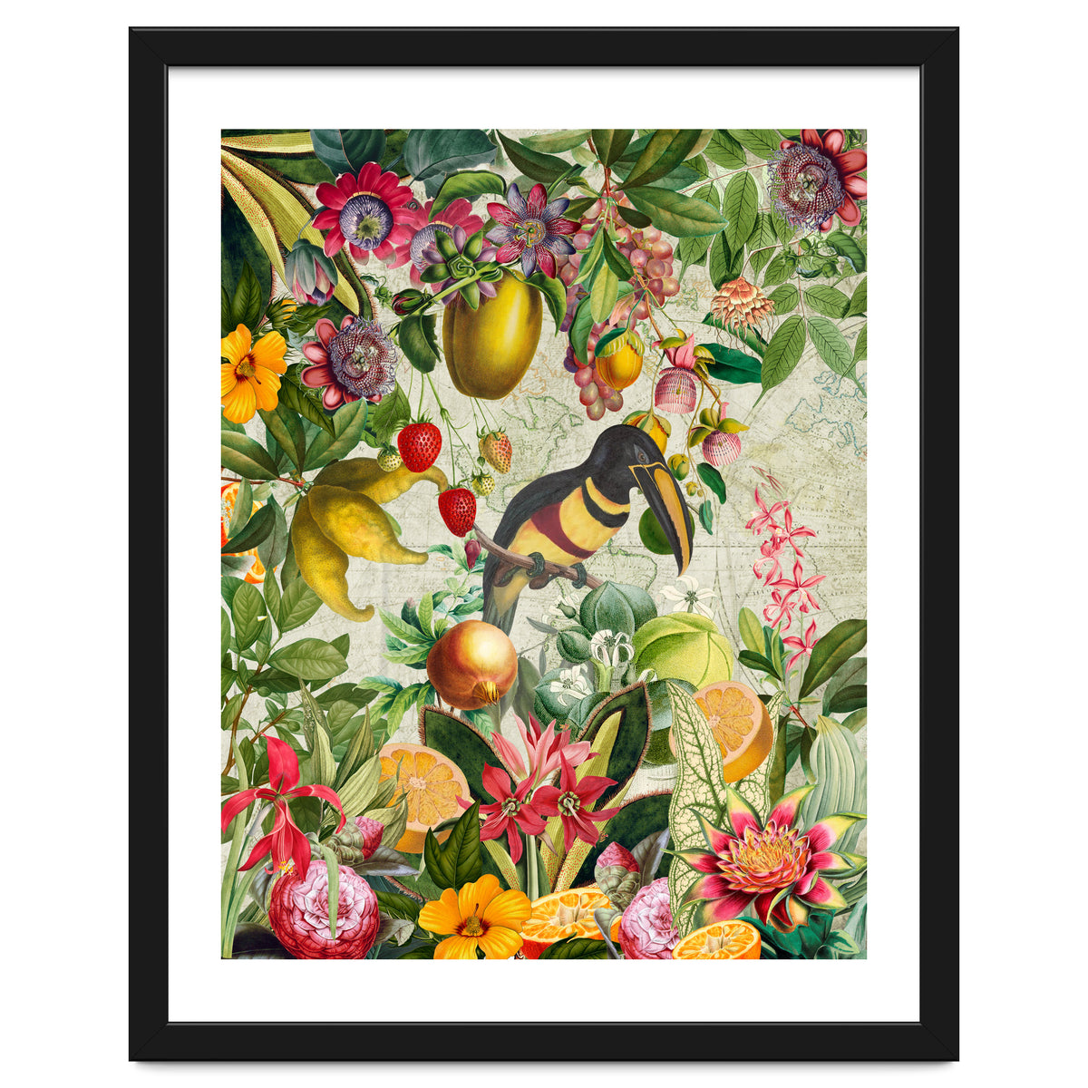 Toucan vintage jungle